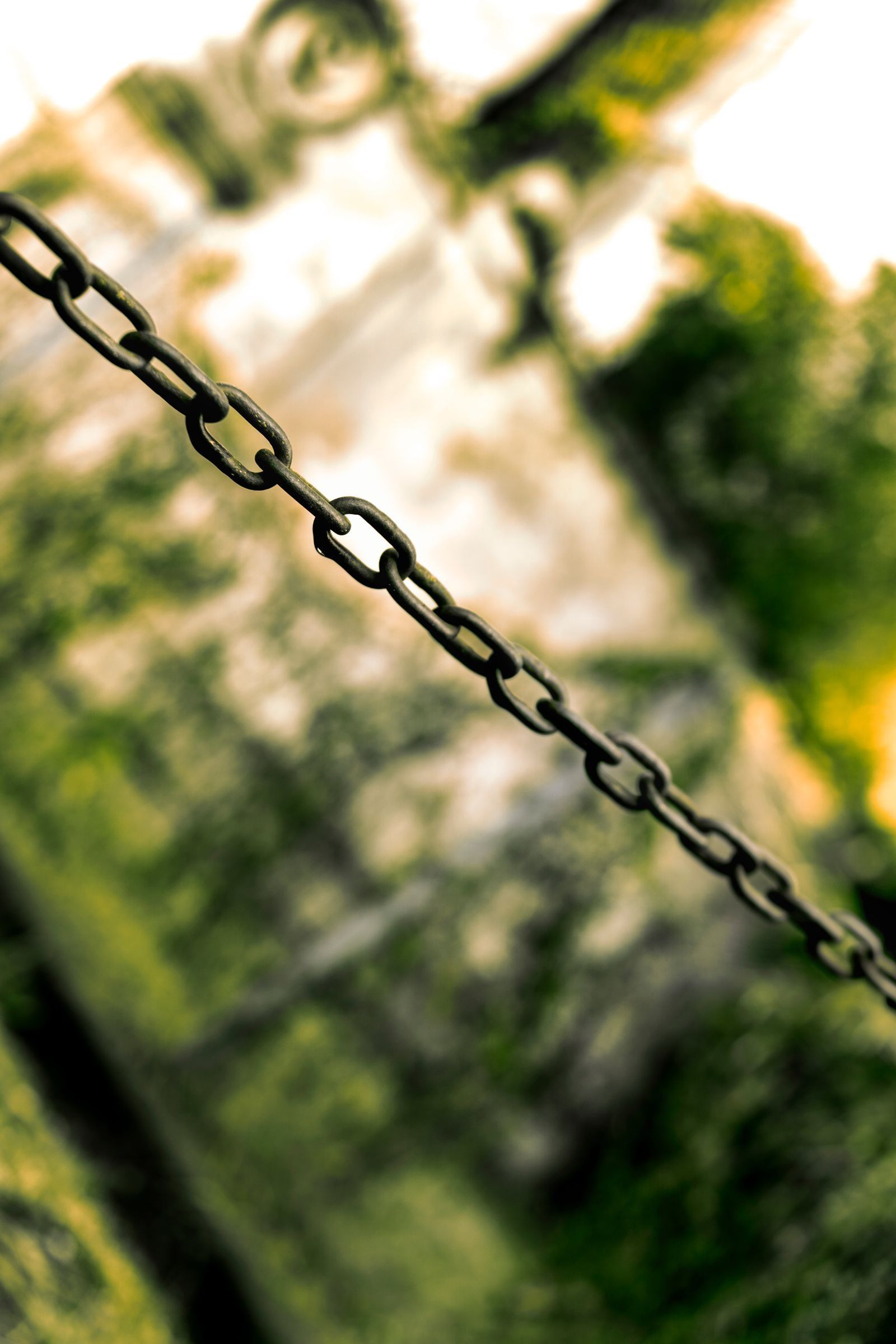 Internal Links: The Lever Most Sites Ignore
